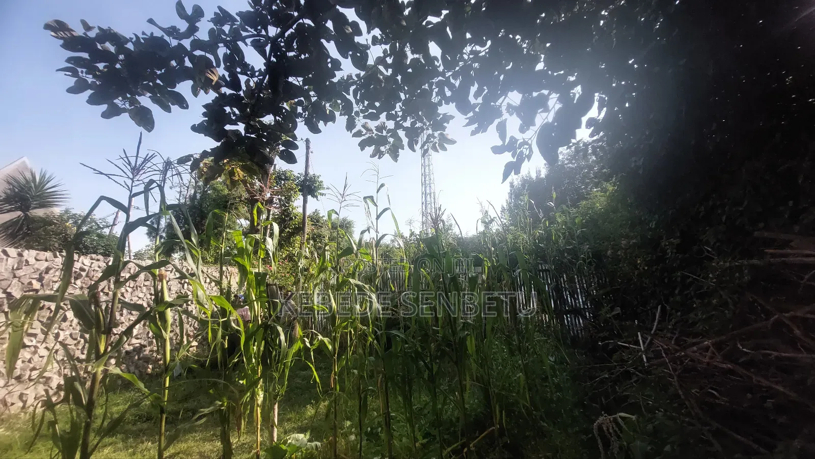 1bdrm House in Oromia, East Shewa for sale