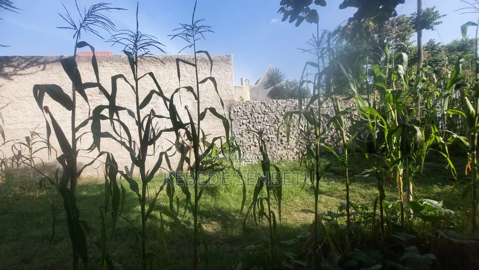 1bdrm House in Oromia, East Shewa for sale