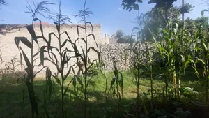 1bdrm House in Oromia, East Shewa for sale