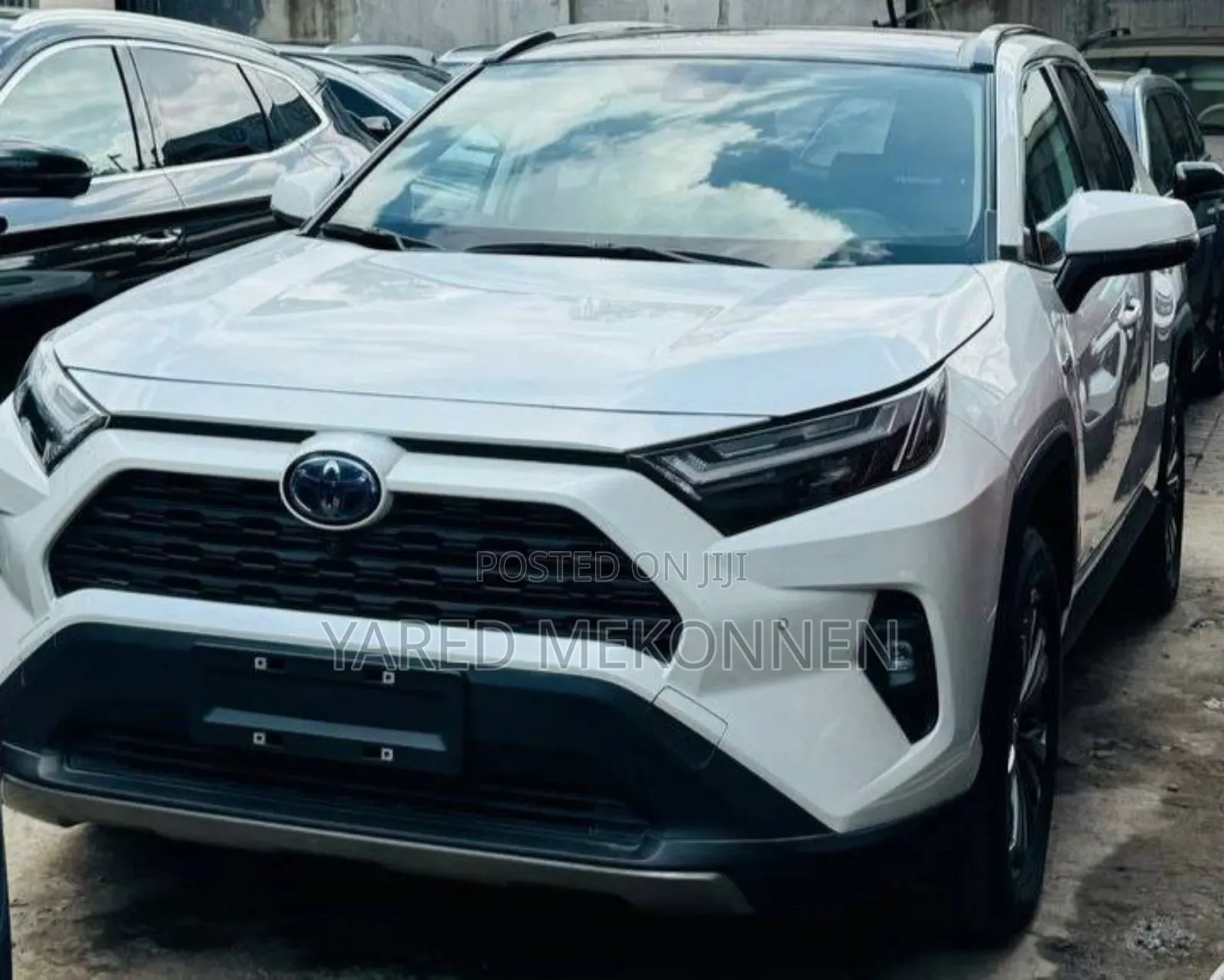New Toyota RAV4 2024 White