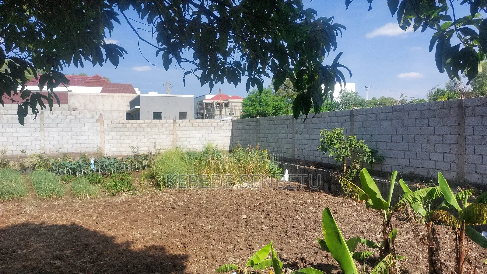 1bdrm House in Oromia, East Shewa for sale