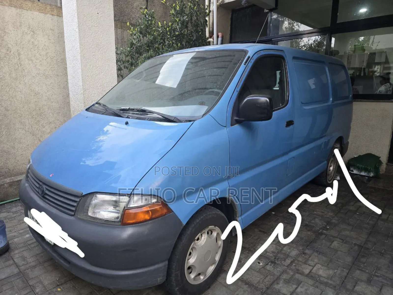 Toypta Dolphin for Rent