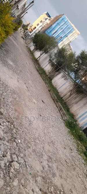 Photo - የሚሸጥ የስም ማዞሪያ ያለው ሃይሌ ጋርመንት