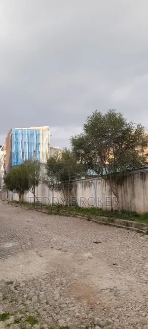 የሚሸጥ የስም ማዞሪያ ያለው ሃይሌ ጋርመንት