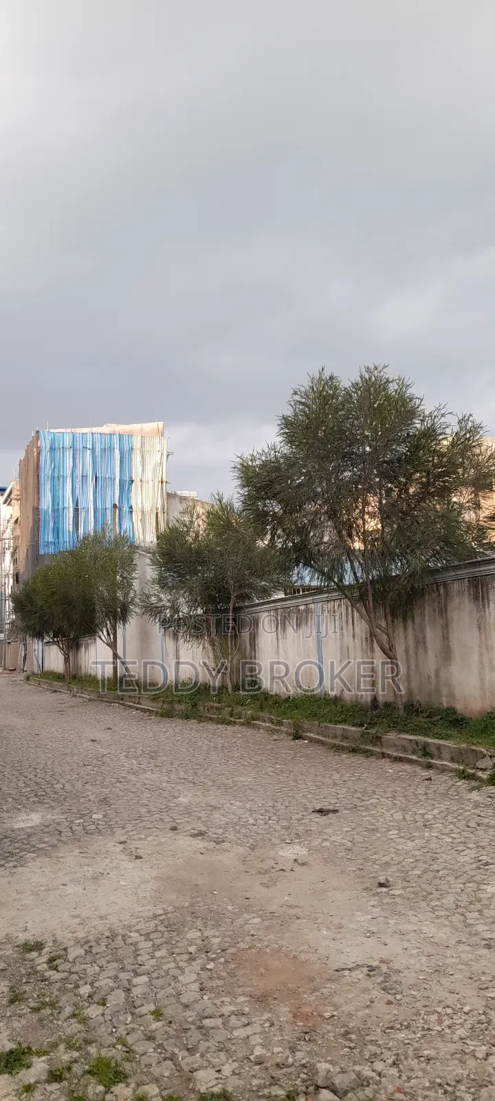 የሚሸጥ የስም ማዞሪያ ያለው ሃይሌ ጋርመንት