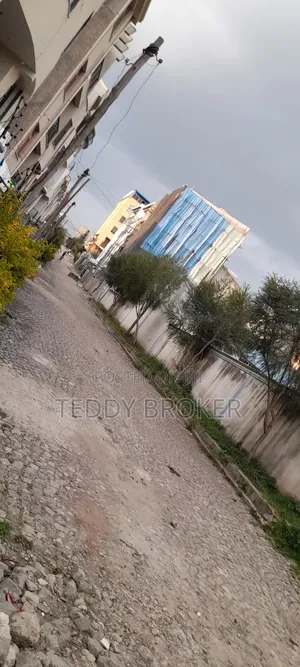 የሚሸጥ የስም ማዞሪያ ያለው ሃይሌ ጋርመንት