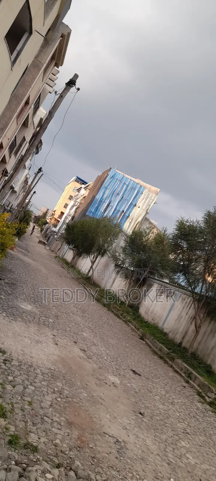 የሚሸጥ የስም ማዞሪያ ያለው ሃይሌ ጋርመንት