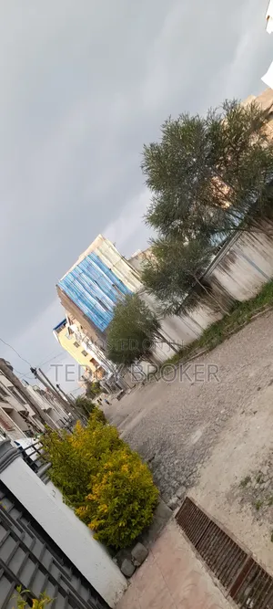 የሚሸጥ የስም ማዞሪያ ያለው ሃይሌ ጋርመንት