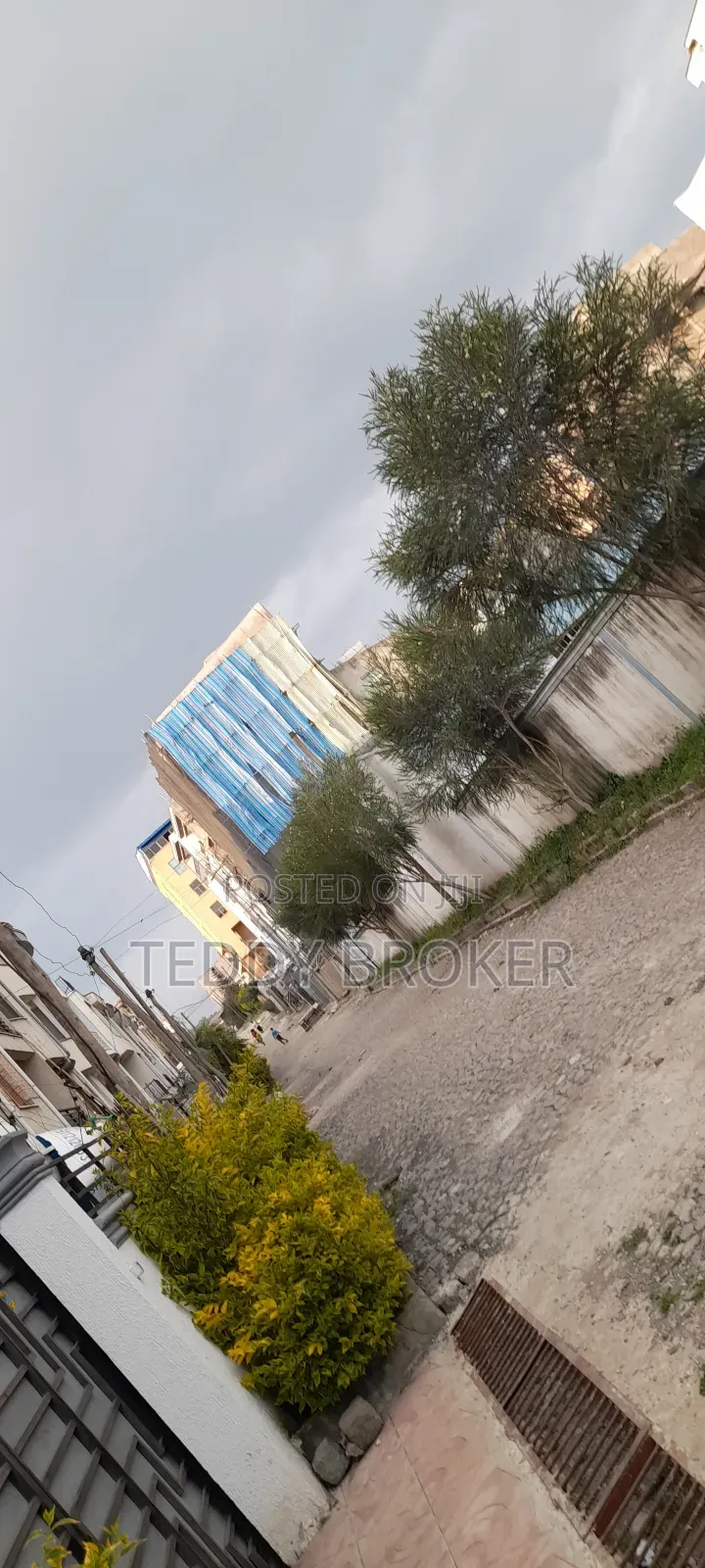 የሚሸጥ የስም ማዞሪያ ያለው ሃይሌ ጋርመንት