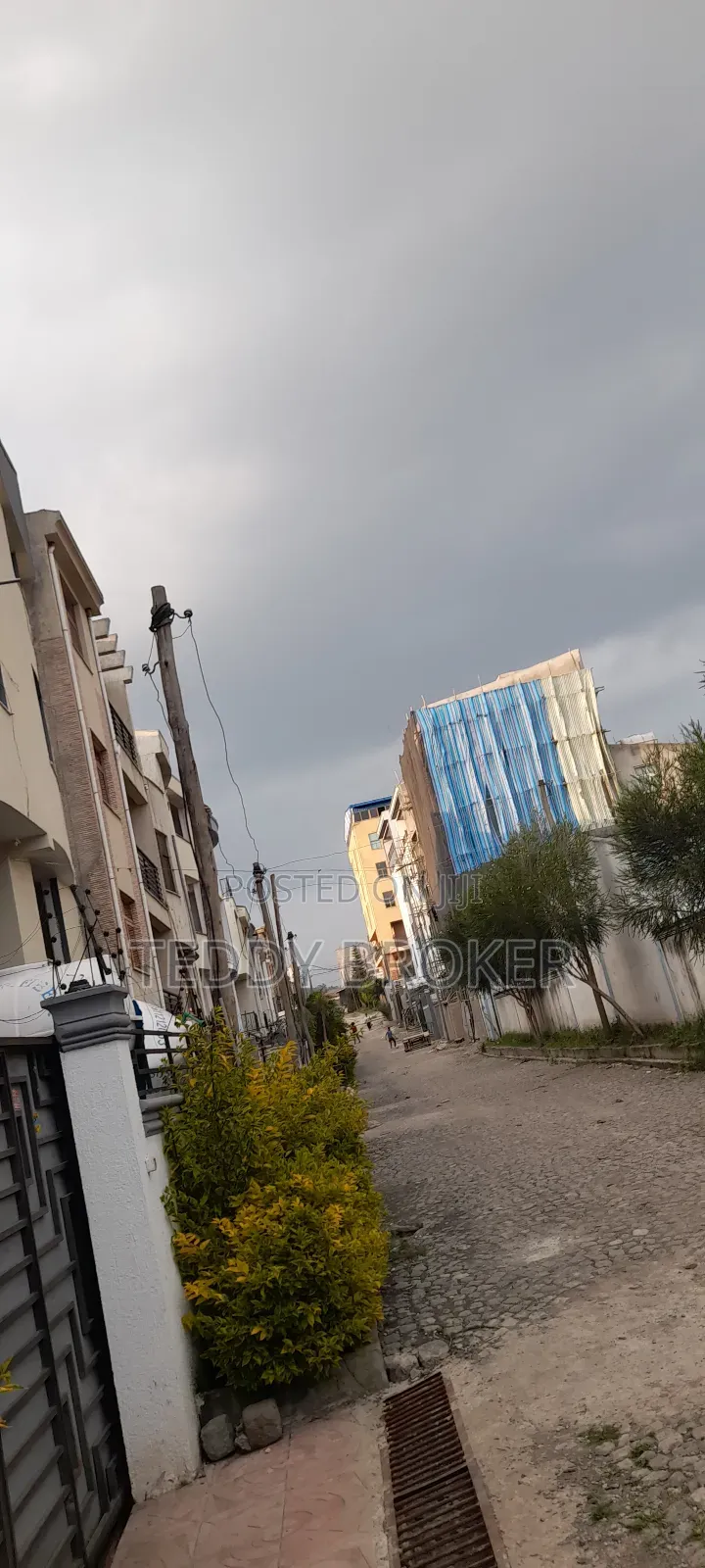 የሚሸጥ የስም ማዞሪያ ያለው ሃይሌ ጋርመንት