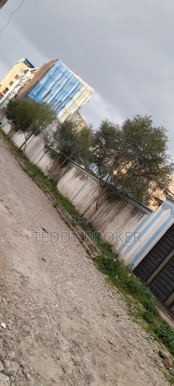 የሚሸጥ የስም ማዞሪያ ያለው ሃይሌ ጋርመንት