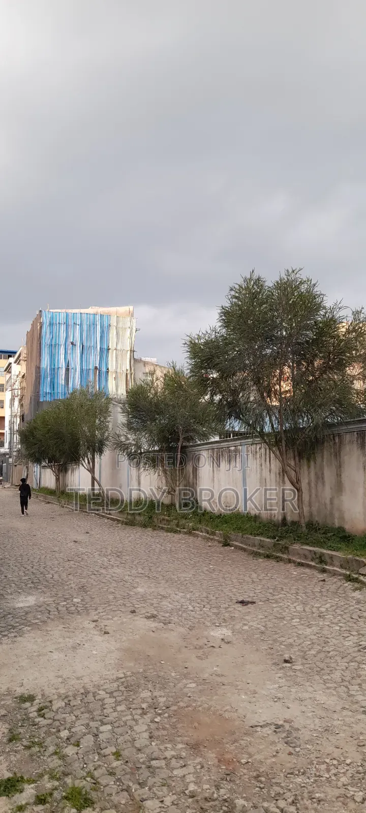 የሚሸጥ የስም ማዞሪያ ያለው ሃይሌ ጋርመንት