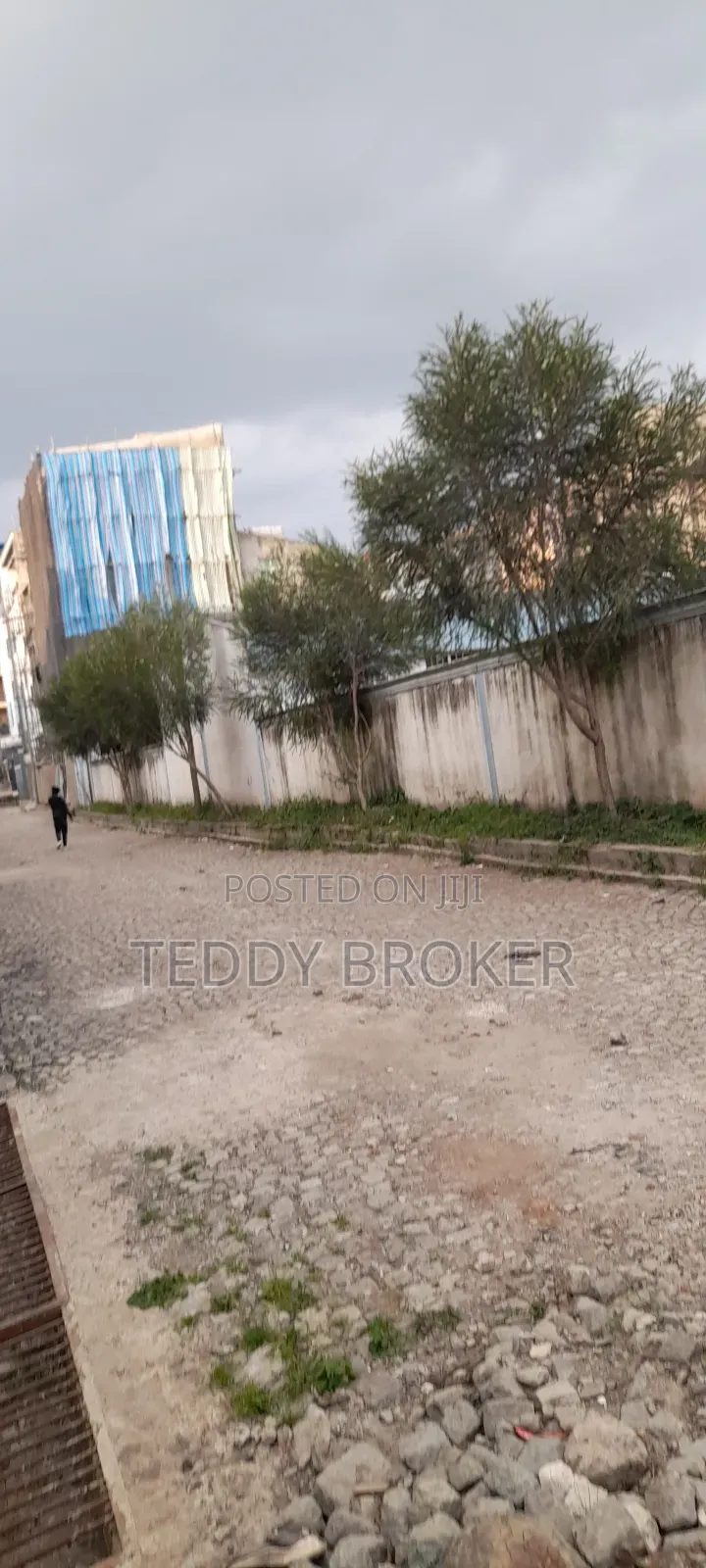 የሚሸጥ የስም ማዞሪያ ያለው ሃይሌ ጋርመንት