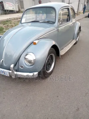 Photo - Volkswagen Beetle 1967 Gray