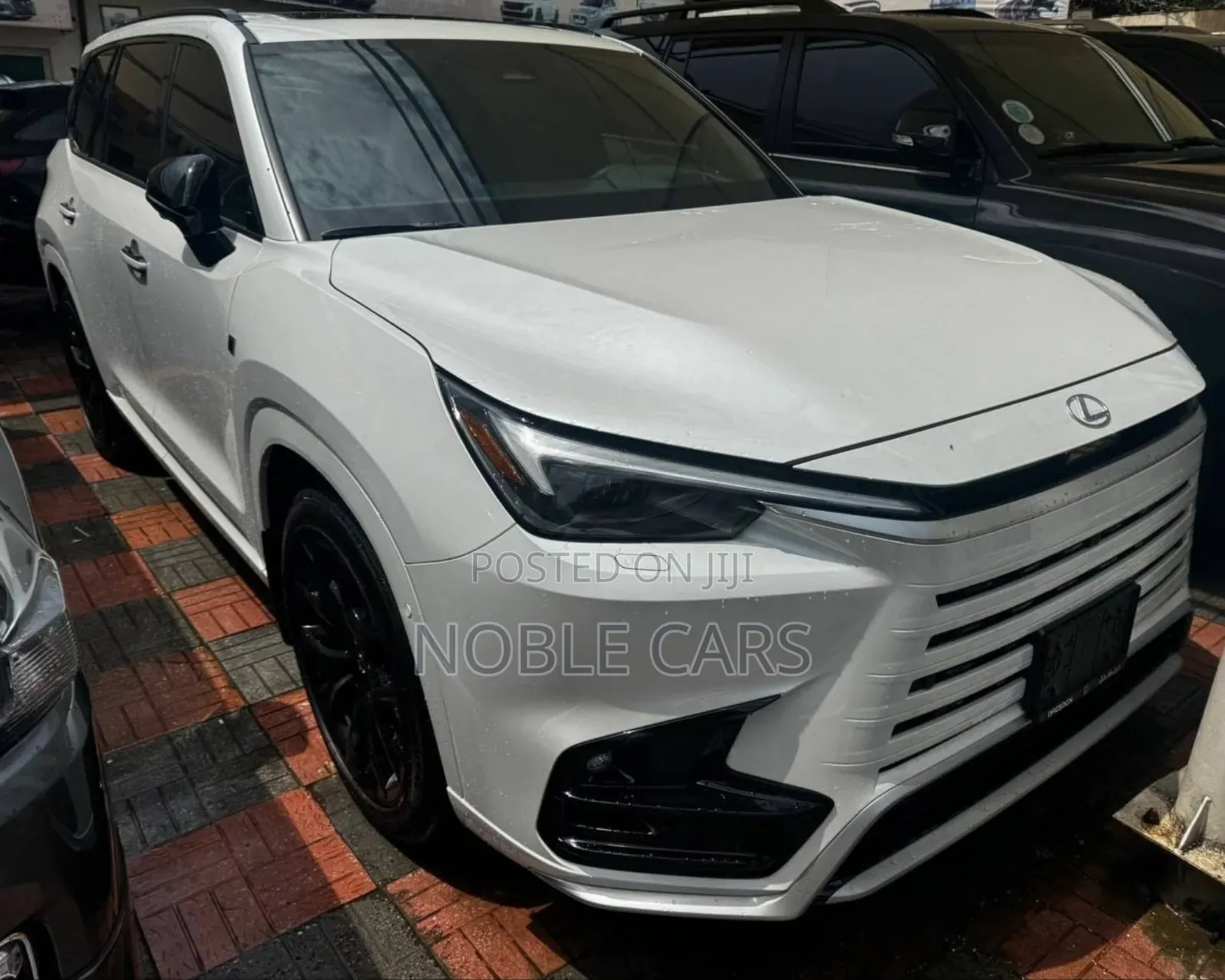 New Lexus TX 2024 White