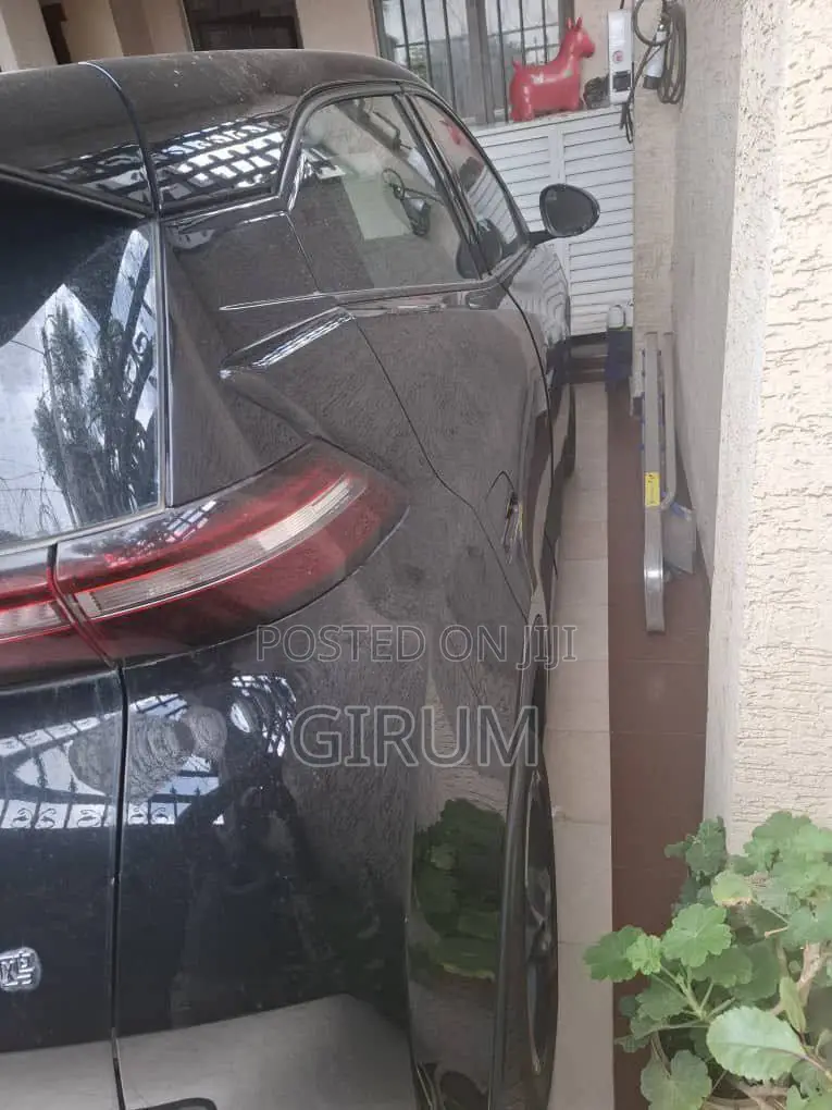 New BYD Seagull 2024 Black