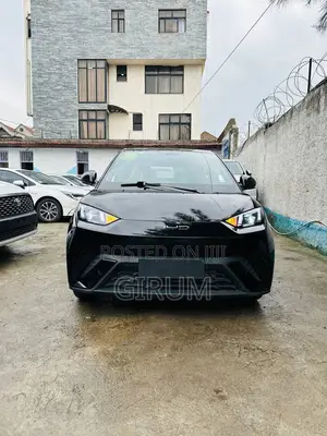 New BYD Seagull 2024 Black