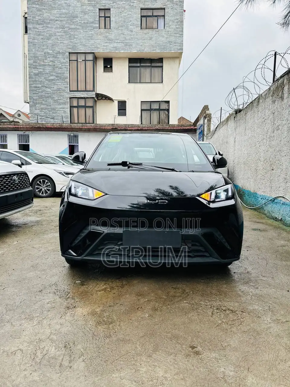 New BYD Seagull 2024 Black