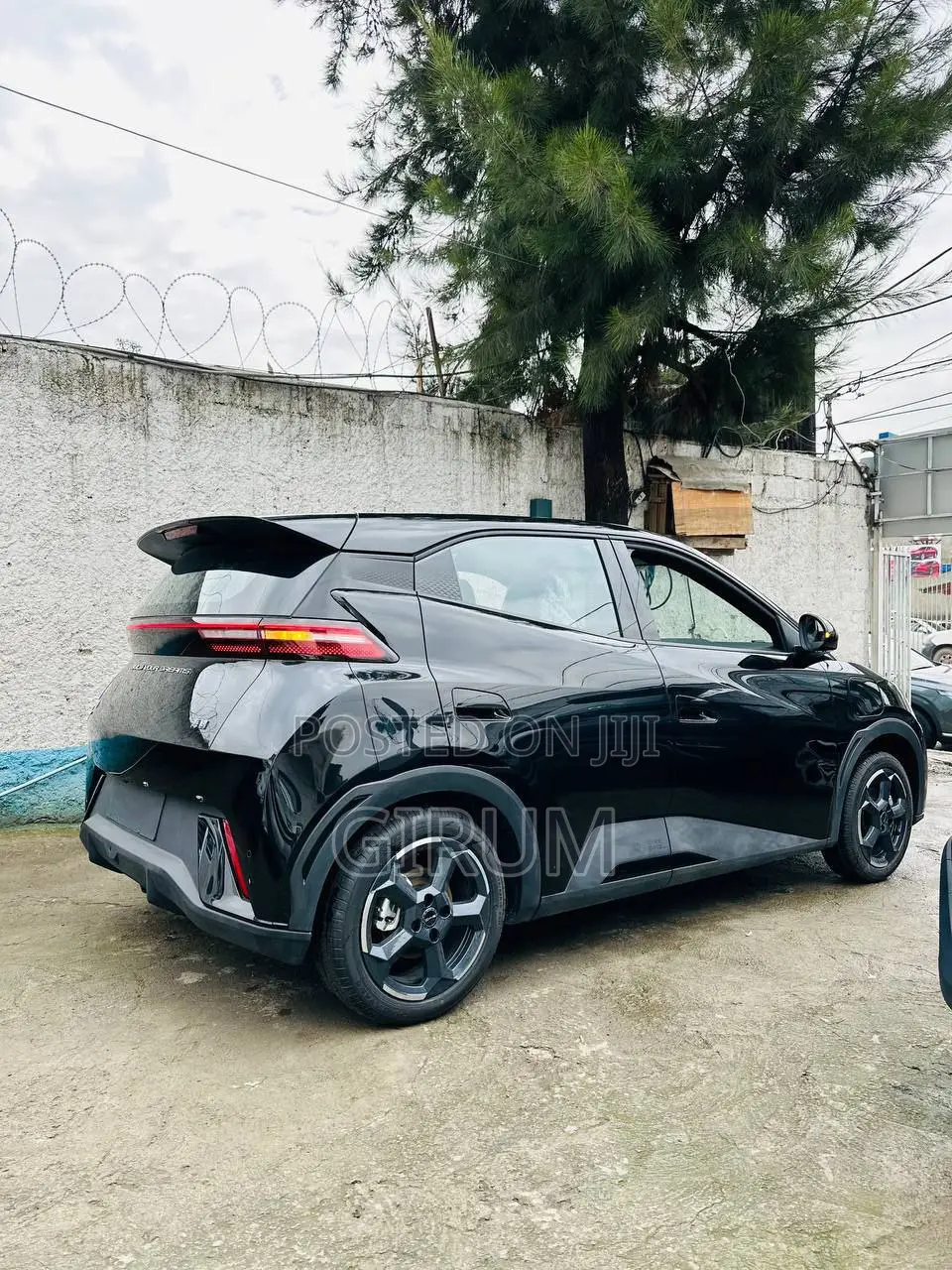 New BYD Seagull 2024 Black