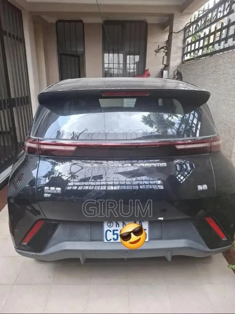 New BYD Seagull 2024 Black