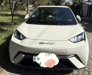 Photo - BYD Seagull 2024 White