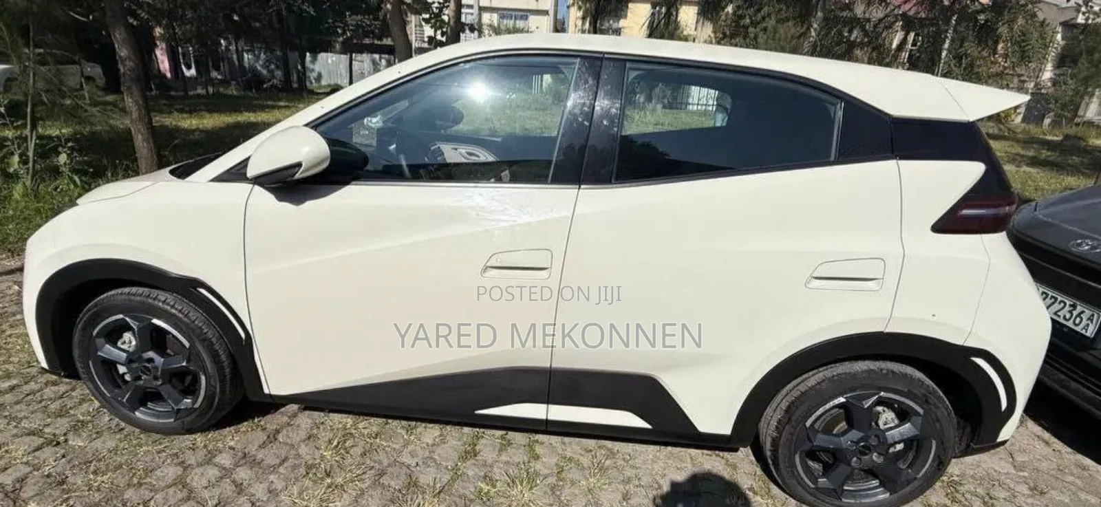 BYD Seagull 2024 White