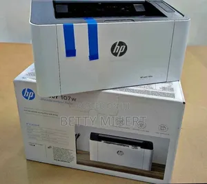 Photo - Hp 107a Printer