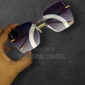 Dior and Louis Vuitton Sunglasses