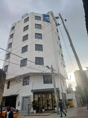 Furnished 20bdrm Apartment in Bole for sale