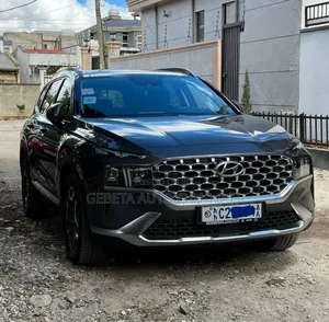 Hyundai Santa Fe 2022 Silver