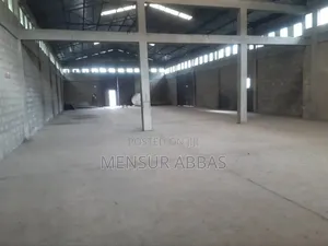 Megazen Warehouse Alemgena አለምገና መጋዘን