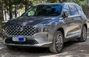 Hyundai Santa Fe 2022 Gray