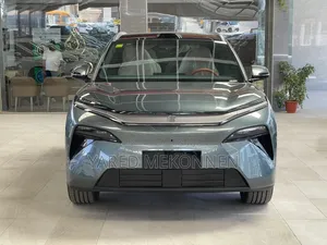 Photo - New BYD Tang EV 2025 Gray