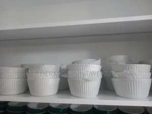 Ceramics House Holds