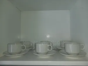 Ceramics House Holds