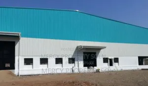 Big Warehouse for Rent in Addis Ababa የሚከራይ መጋዘን አዲስ አበባ