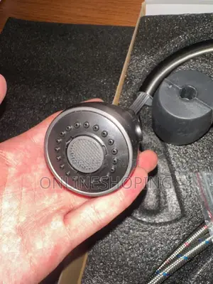 Pagoda Pul-Out Kitchen Faucet