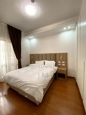 Furnished 1bdrm Apartment in Bole for rent