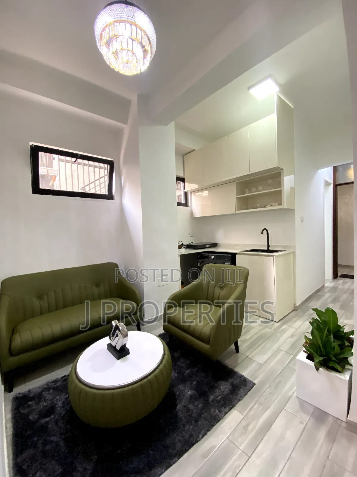 Furnished 1bdrm Apartment in Bole for rent