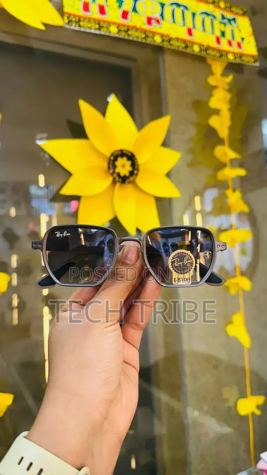 Sunglasses From an International Brands Imported From Italy