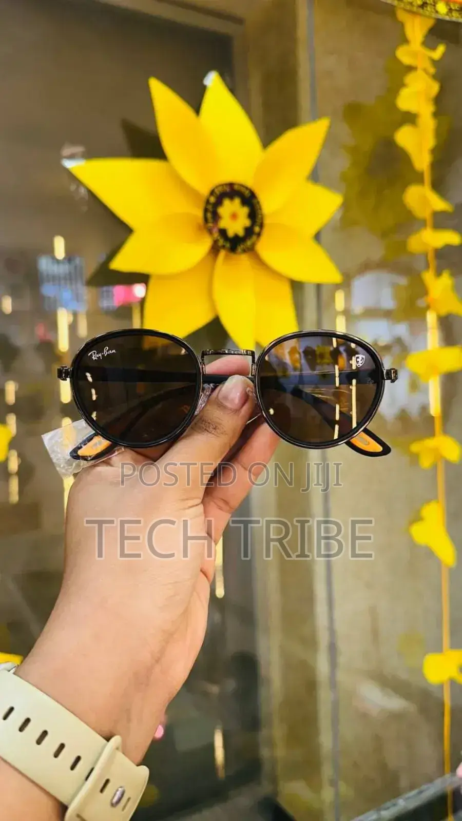 Sunglasses From an International Brands Imported From Italy