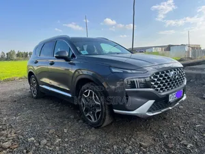 Hyundai Santa Fe Calligraphy 2022 Gray