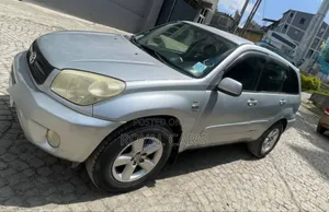 Toyota RAV4 2005 Silver