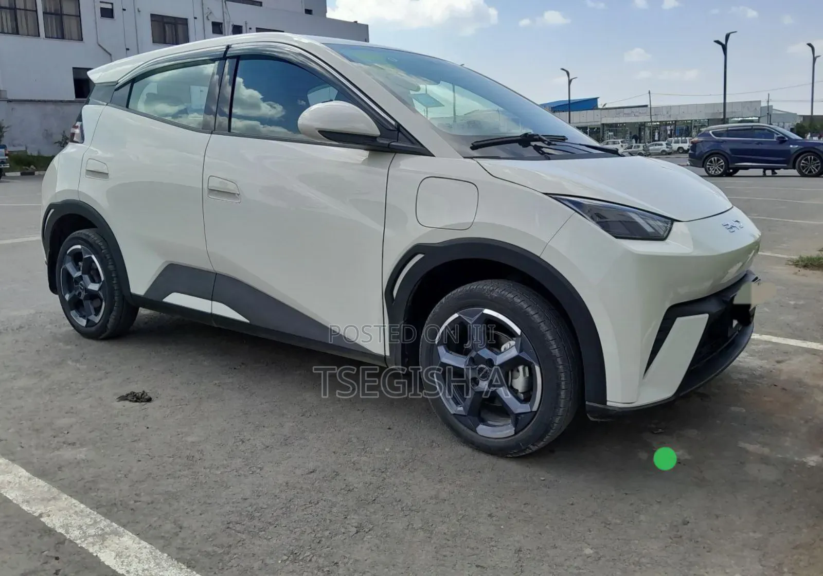 New BYD Seagull 2025 White