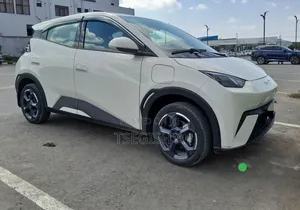 Photo - New BYD Seagull 2025 White