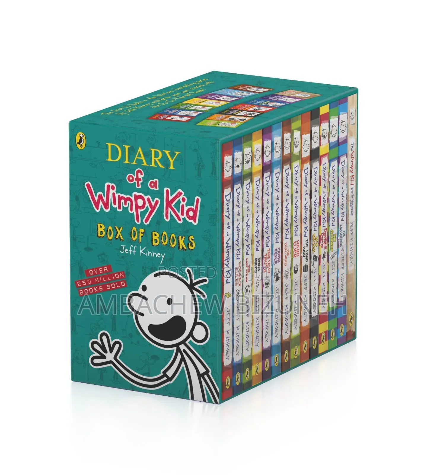 Wimpy Kid Diaries