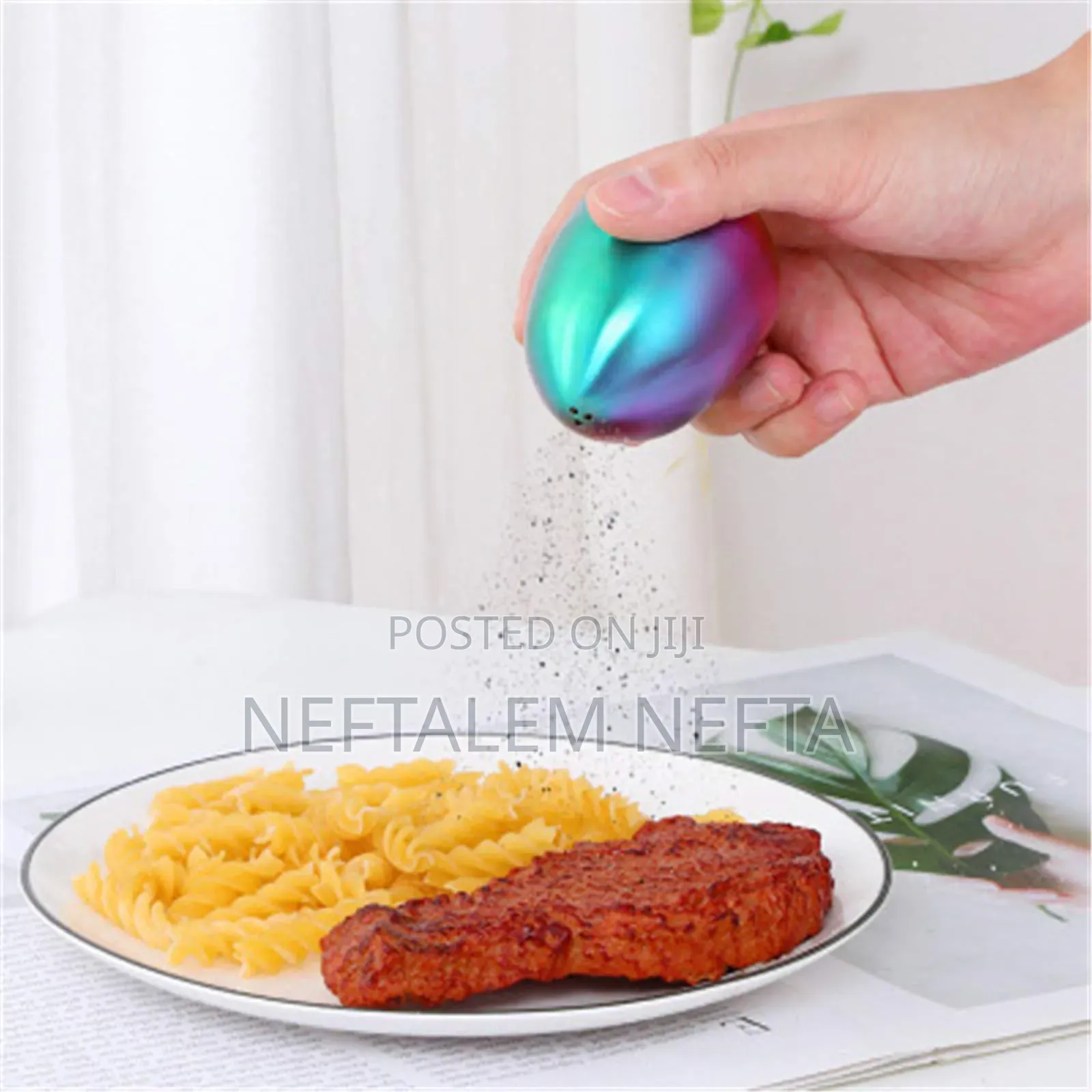 Modern Metal Egg Shapped Seasoning