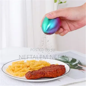 Modern Metal Egg Shapped Seasoning
