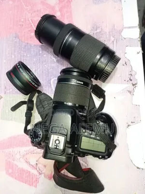 Photo - Canon 80d 18_55len 50_250