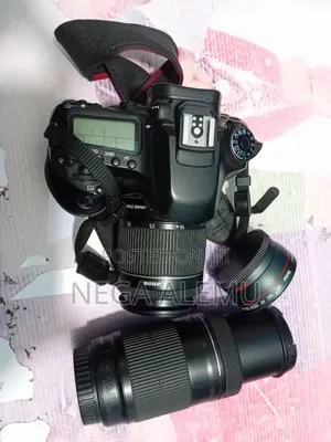 Canon 80d 18_55len 50_250